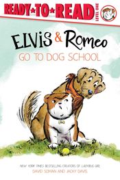 Elvis & Romeo Go to Dog School - 12 Aug 2025