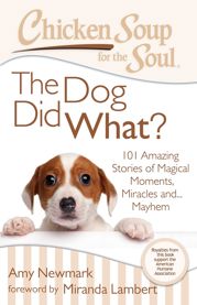 Chicken Soup for the Soul: The Dog Did What? - 19 Aug 2014