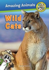 Wild Cats - 15 Dec 2017
