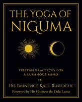The Yoga of Niguma - 5 Aug 2025