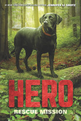 Hero: Rescue Mission - 31 Oct 2017