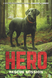 Hero: Rescue Mission - 31 Oct 2017