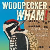 Woodpecker Wham! - 4 Nov 2025