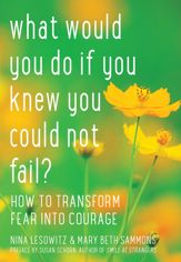 What Would You Do If You Knew You Could Not Fail? - 16 Dec 2013