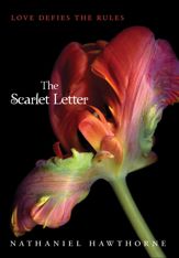 The Scarlet Letter - 22 Nov 2011