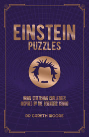 Einstein Puzzles - 30 Nov 2022