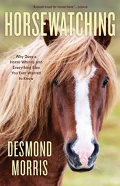 Horsewatching - 1 Apr 2023