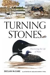 Turning Stones - 1 Jun 2024