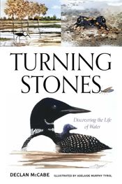 Turning Stones - 1 Jun 2024