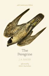 The Peregrine: 50th Anniversary Edition - 6 Apr 2017