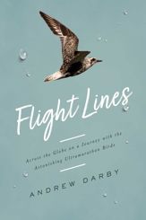Flight Lines - 3 Nov 2020