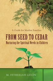From Seed to Cedar - 7 Sep 2013