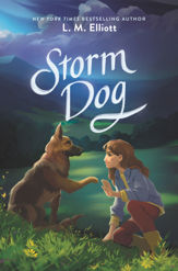 Storm Dog - 18 Aug 2020