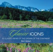 Glacier Icons - 21 Feb 2012