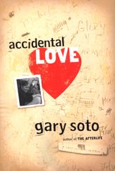 Accidental Love - 1 Jan 2008