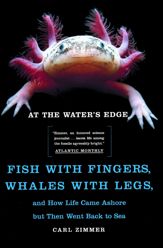 At the Water's Edge - 26 Aug 2014