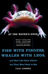 At the Water's Edge - 26 Aug 2014