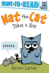 Nat the Cat Takes a Nap - 17 Jan 2023