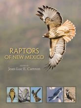 Raptors of New Mexico - 16 Aug 2010