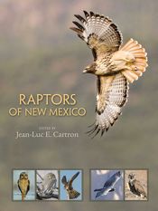 Raptors of New Mexico - 16 Aug 2010