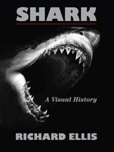 Shark - 17 Apr 2012