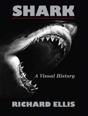 Shark - 17 Apr 2012