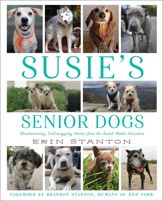 Susie's Senior Dogs - 25 Oct 2016