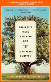 A Teacher's Guide to Their Eyes Were Watching God - 24 Jun 2014