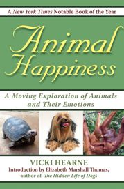 Animal Happiness - 17 Aug 2007