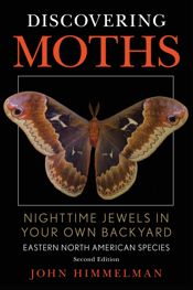 Discovering Moths - 1 Jul 2023