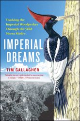 Imperial Dreams - 16 Apr 2013