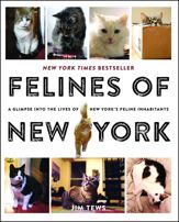 Felines of New York - 24 Nov 2015