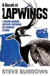 A Deceit of Lapwings - 26 Jun 2025