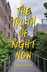 The Truth of Right Now - 3 Jan 2017
