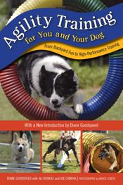 Agility Training for You and Your Dog - 1 Aug 2023