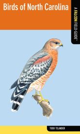 Birds of North Carolina - 18 Dec 2012