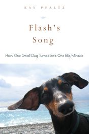 Flash's Song - 15 Sep 2015