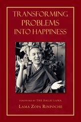 Transforming Problems into Happiness - 8 Feb 2013