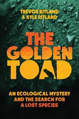 The Golden Toad - 17 Jun 2025