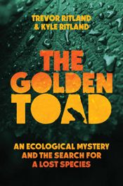 The Golden Toad - 17 Jun 2025