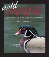 Wild Maine - 1 Jan 2004