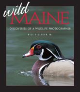 Wild Maine - 1 Jan 2004
