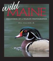 Wild Maine - 1 Jan 2004