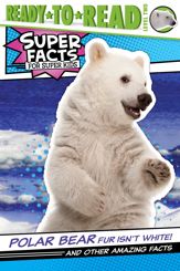Polar Bear Fur Isn't White! - 1 Dec 2020