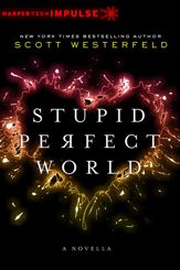 Stupid Perfect World - 4 Dec 2012