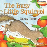 The Busy Little Squirrel - 30 Aug 2011