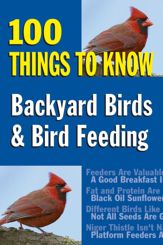 Backyard Birds & Bird Feeding - 11 Jul 2007