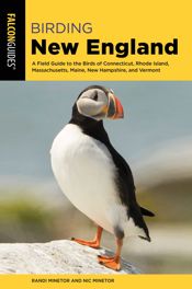 Birding New England - 1 May 2019