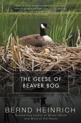 The Geese of Beaver Bog - 13 Oct 2009