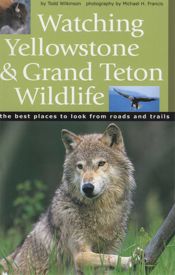 Watching Yellowstone and Grand Teton Wildlife - 21 Mar 2023